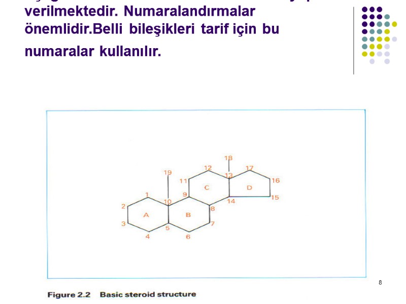 AÖ 8 Aşağıda tüm sterodlerin ortak karbon yapısı  verilmektedir. Numaralandırmalar önemlidir.Belli bileşikleri tarif